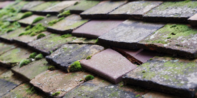 Cwmgwili roof repair costs